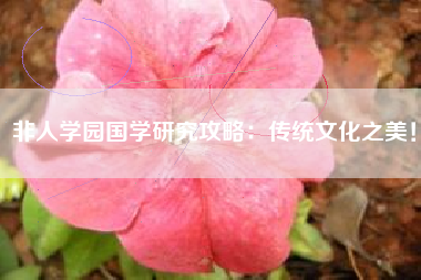非人学园国学研究攻略：传统文化之美！  第1张