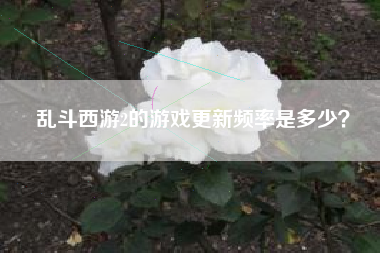 乱斗西游2的游戏更新频率是多少？  第1张