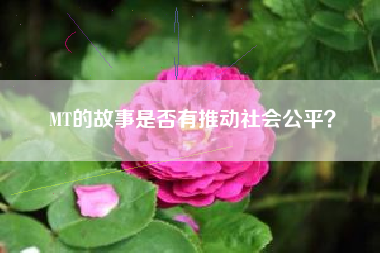 MT的故事是否有推动社会公平？  第1张