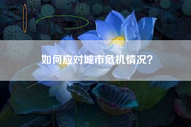 如何应对城市危机情况？  第1张