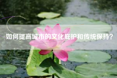 如何提高城市的文化庇护和传统保持？  第1张