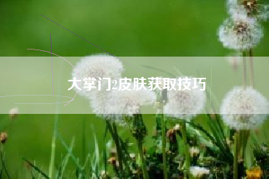 大掌门2皮肤获取技巧  第1张