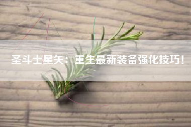 圣斗士星矢：重生最新装备强化技巧！  第1张