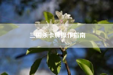 三国杀卡牌操作指南  第1张