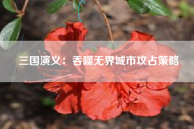 三国演义：吞噬无界城市攻占策略  第1张