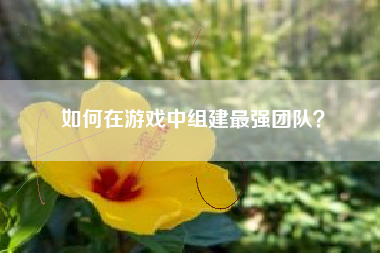 如何在游戏中组建最强团队？  第1张