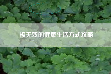 极无双的健康生活方式攻略  第1张