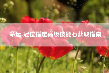 命运-冠位指定高级技能石获取指南  第1张