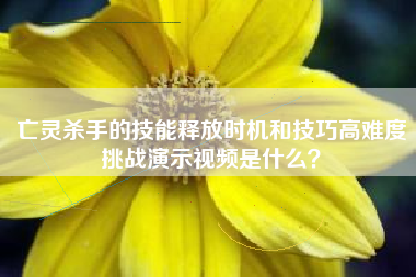 亡灵杀手的技能释放时机和技巧高难度挑战演示视频是什么？  第1张