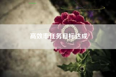 高效率任务目标达成  第1张
