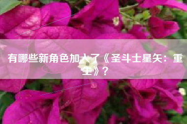 有哪些新角色加入了《圣斗士星矢：重生》？  第1张