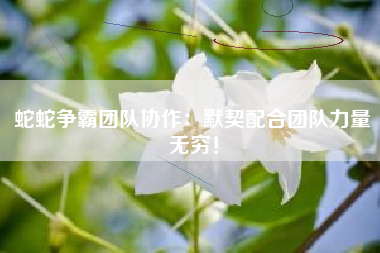 蛇蛇争霸团队协作：默契配合团队力量无穷！  第1张