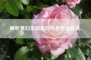 解析梦幻家园游戏内各职业优劣。  第1张