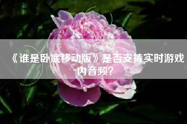 《谁是卧底移动版》是否支持实时游戏内音频？  第1张