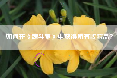 如何在《魂斗罗》中获得所有收藏品？  第1张