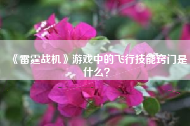 《雷霆战机》游戏中的飞行技能窍门是什么？  第1张