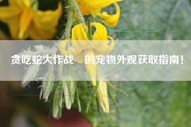 贪吃蛇大作战®的宠物外观获取指南！  第1张