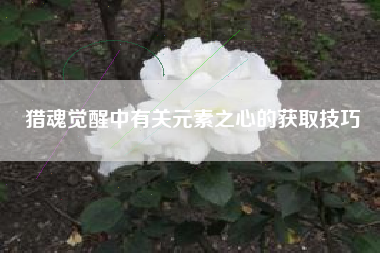 猎魂觉醒中有关元素之心的获取技巧  第1张