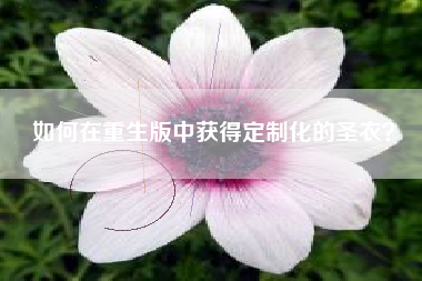 如何在重生版中获得定制化的圣衣？  第1张