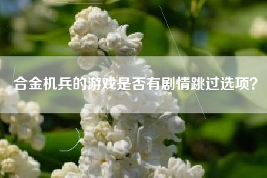 合金机兵的游戏是否有剧情跳过选项？  第1张
