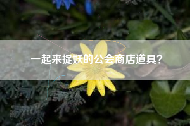 一起来捉妖的公会商店道具？  第1张