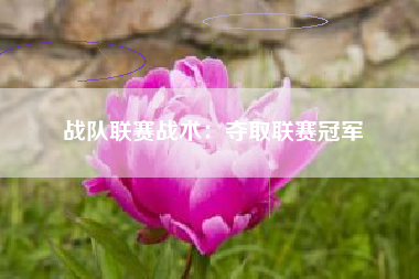 战队联赛战术：夺取联赛冠军  第1张