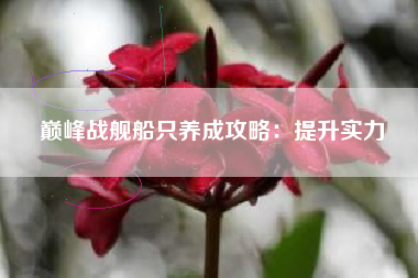 巅峰战舰船只养成攻略：提升实力  第1张