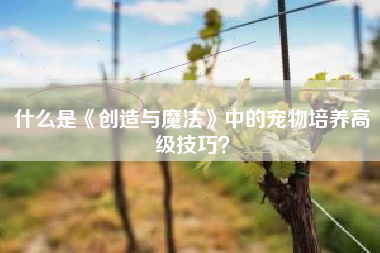 什么是《创造与魔法》中的宠物培养高级技巧？  第1张