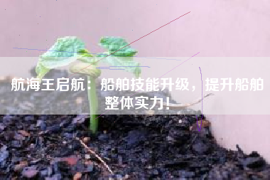 航海王启航：船舶技能升级，提升船舶整体实力！  第1张