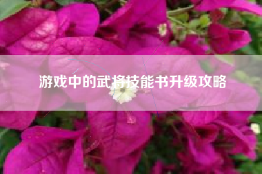 游戏中的武将技能书升级攻略  第1张