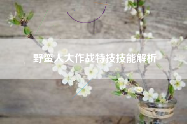 野蛮人大作战特技技能解析  第1张