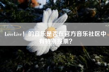 LoveLive！的音乐是否在官方音乐社区中有特别投票？  第1张