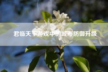 君临天下游戏中的城市防御升级  第1张