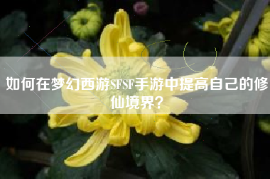 如何在梦幻西游SFSF手游中提高自己的修仙境界？  第1张