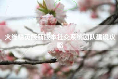 火线精英版新版本社交系统团队建设攻略  第1张