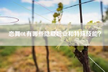 恋舞OL有哪些隐藏职业和特殊技能？  第1张
