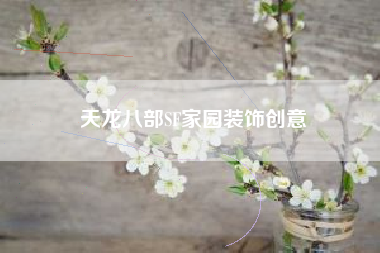 天龙八部SF家园装饰创意  第1张