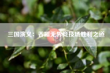 三国演义：吞噬无界竞技场胜利之道  第1张