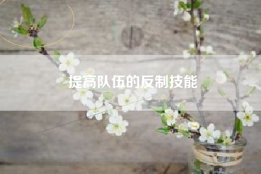 提高队伍的反制技能  第1张
