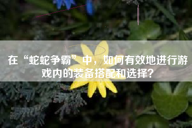 在“蛇蛇争霸”中，如何有效地进行游戏内的装备搭配和选择？  第1张