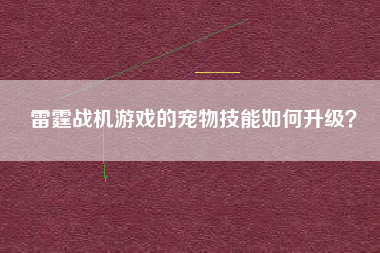 雷霆战机游戏的宠物技能如何升级？  第1张