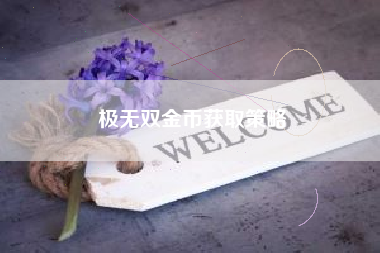 极无双金币获取策略  第1张