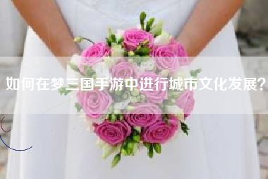 如何在梦三国手游中进行城市文化发展？  第1张