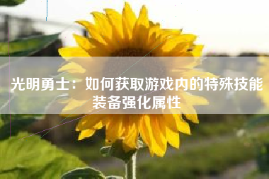 光明勇士：如何获取游戏内的特殊技能装备强化属性  第1张