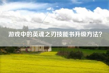 游戏中的英魂之刃技能书升级方法？  第1张