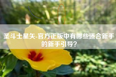 圣斗士星矢-官方正版中有哪些适合新手的新手引导？  第1张