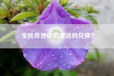 全民奇迹中的激活码兑换？  第1张