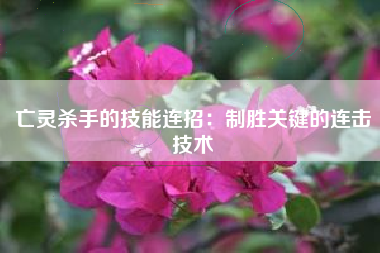 亡灵杀手的技能连招：制胜关键的连击技术  第1张