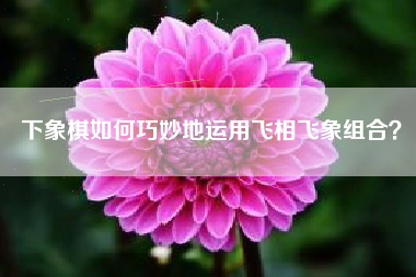 下象棋如何巧妙地运用飞相飞象组合？  第1张