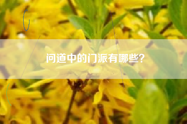 问道中的门派有哪些？  第1张